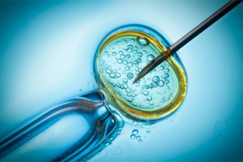 http://changchun.qqkaixin.com/post/199.html|长春供卵助孕